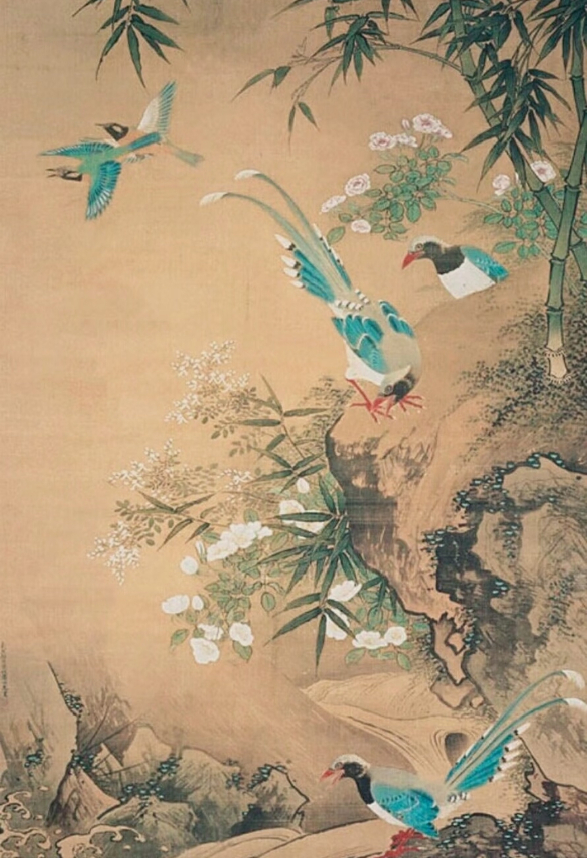 花鸟画法